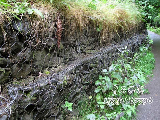 生態格網