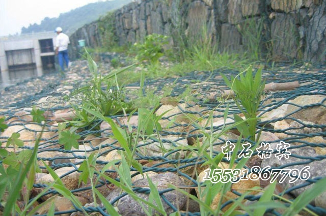 pvc格賓網