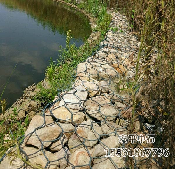 賓格網